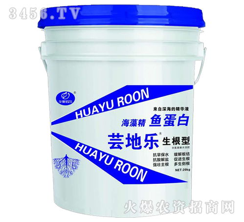 海藻精的作用是 海藻精的功能與作用