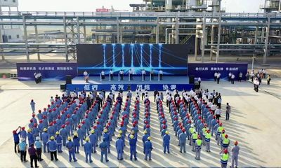 湖北南煉新材料公司精細(xì)化工項(xiàng)目正式投產(chǎn)